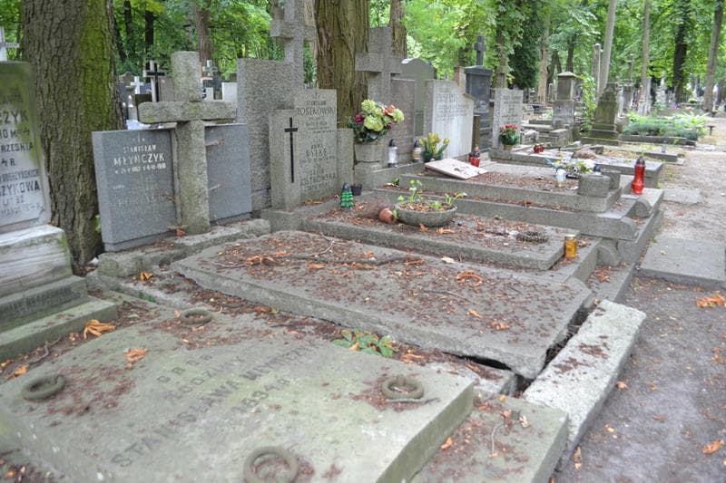 Zdjęcie grobu: Zofia Buchcar