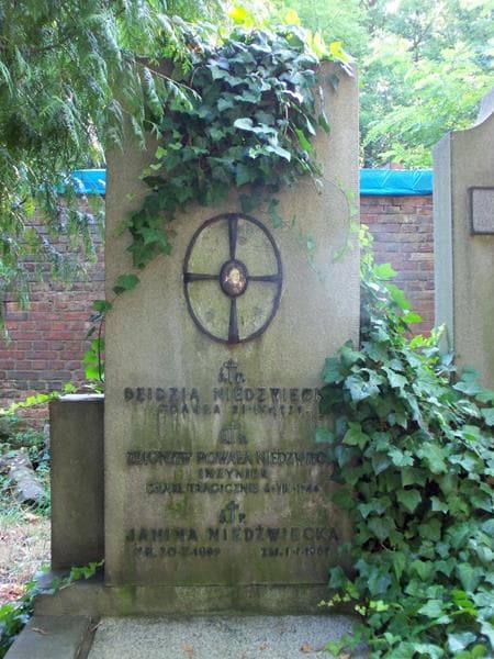 Zdjęcie grobu Dzidzia Niedzwiecka (2)