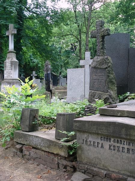 Zdjęcie grobu: Aleksander Białobrzeski