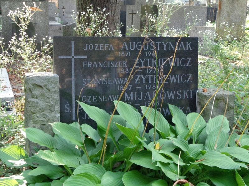 Zdjęcie grobu Franciszek Żytkiewicz (1)