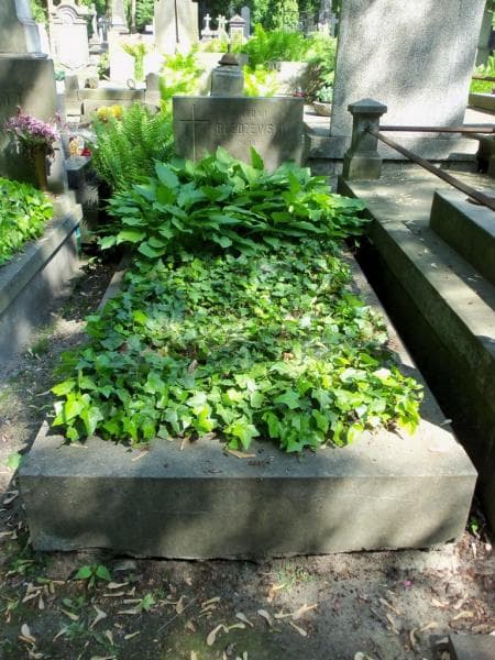Zdjęcie grobu: Antoni Bledzewski