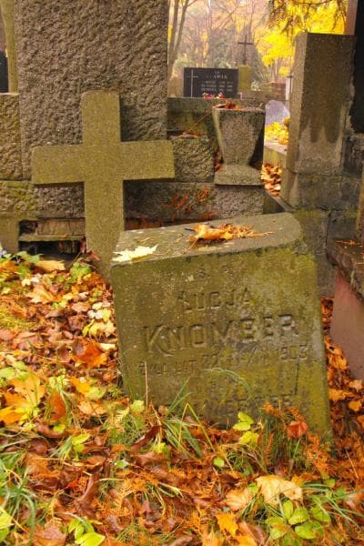Zdjęcie grobu Łucja Knomber (2)