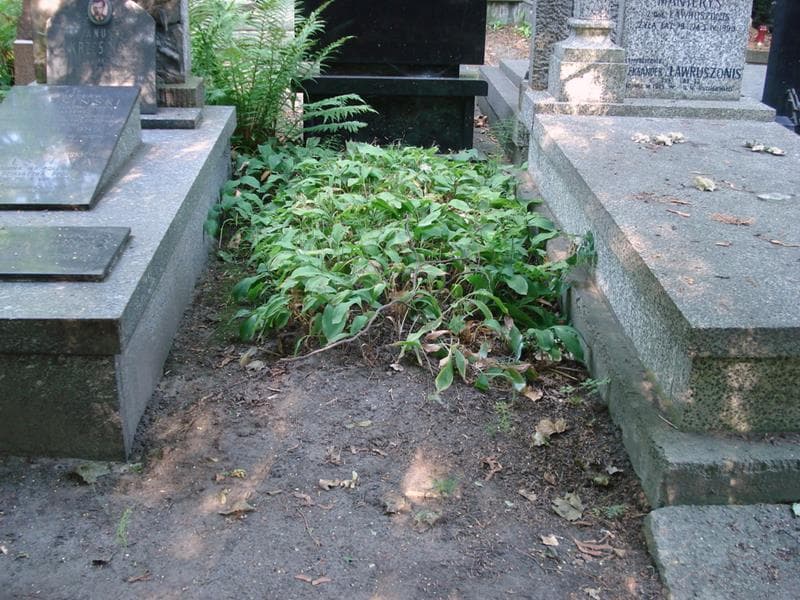 Zdjęcie grobu Pole Grobowe (1)