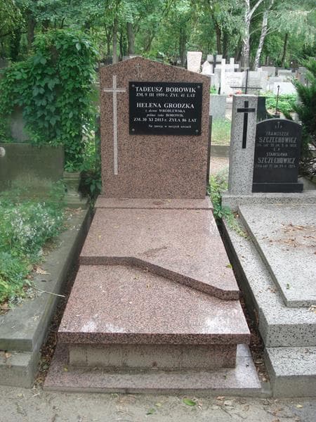 Zdjęcie grobu: Tadeusz Borowik