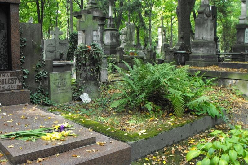 Zdjęcie grobu Białeccy (1)