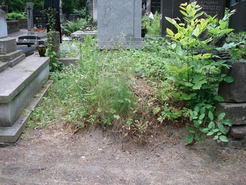 Zdjęcie grobu Pole Grobowe (1)