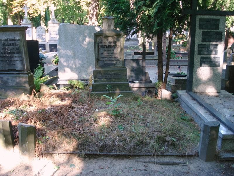 Zdjęcie grobu Jan Chrzanowski (1)