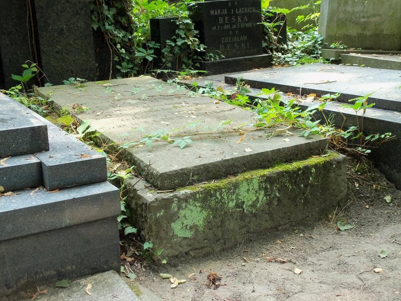 Zdjęcie grobu Włodzimierz Perzyński (1)