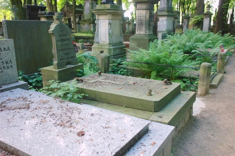 Zdjęcie grobu: Ludwik Delor