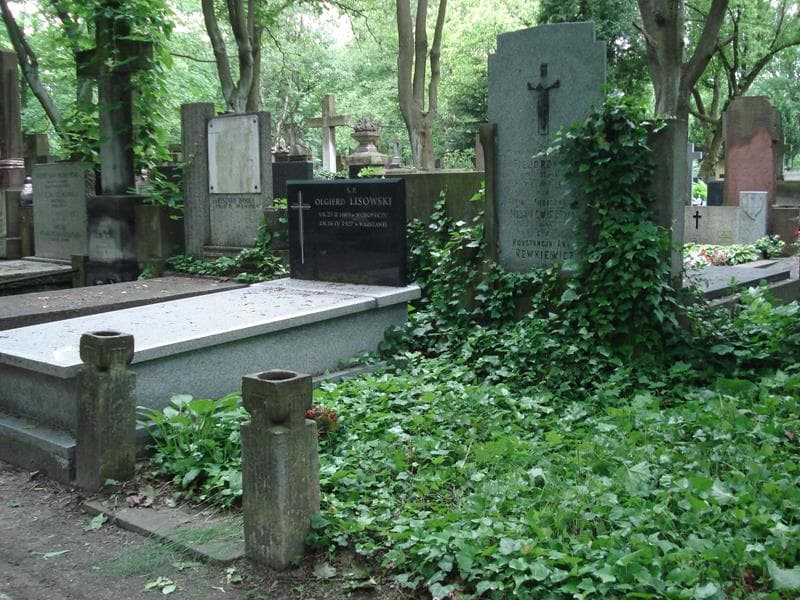 Zdjęcie grobu Stanisława Dymowska (1)
