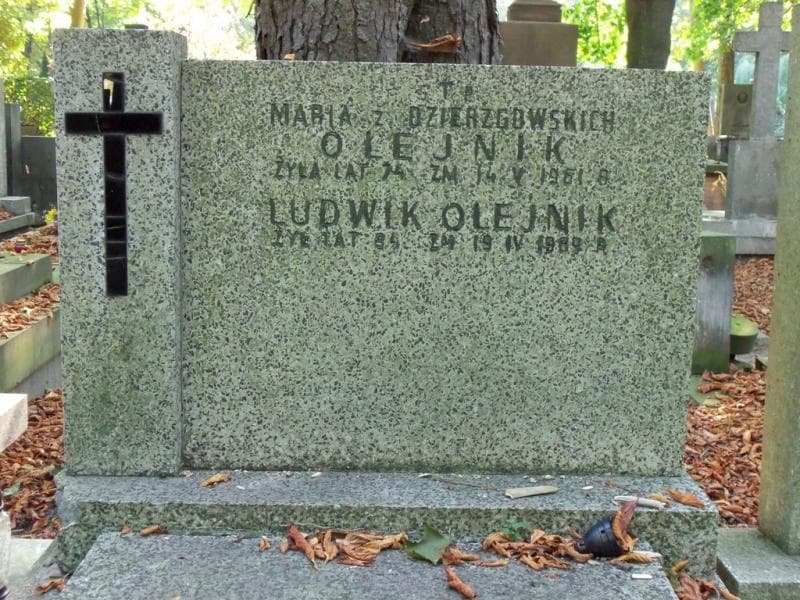 Zdjęcie grobu Ludwik Olejnik (2)