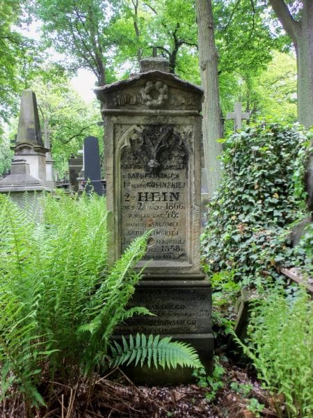 Zdjęcie grobu Władysław Dębowski (1)
