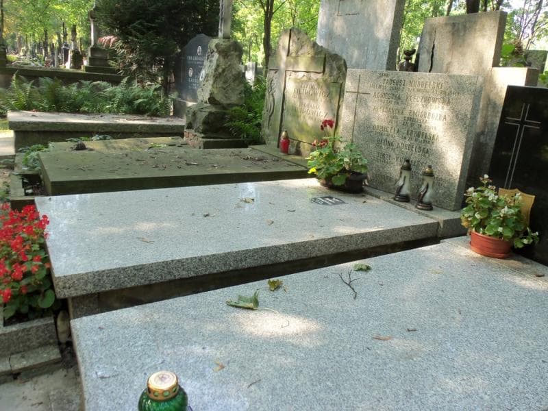 Zdjęcie grobu Domicela Kurdelska (1)