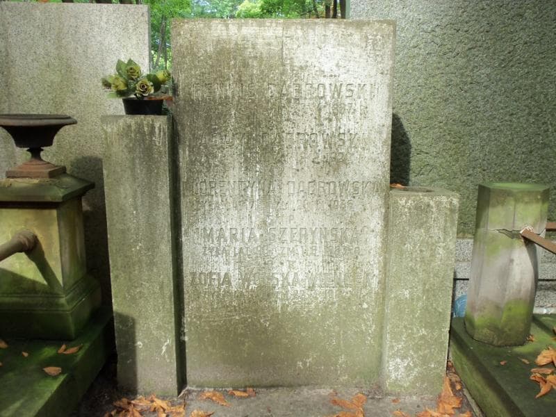Zdjęcie grobu Adam Dąbrowski (1)