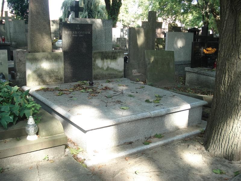 Zdjęcie grobu Adela Krajewska (1)
