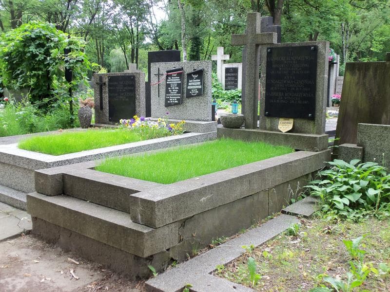 Zdjęcie grobu Anna Bednarzewska-Czażyńska (1)