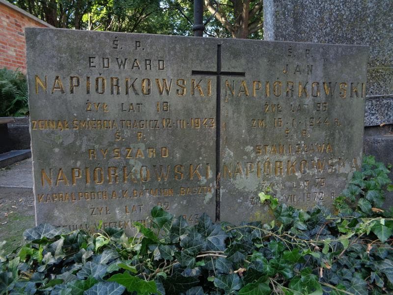 Zdjęcie grobu Edward Napiórkowski (2)