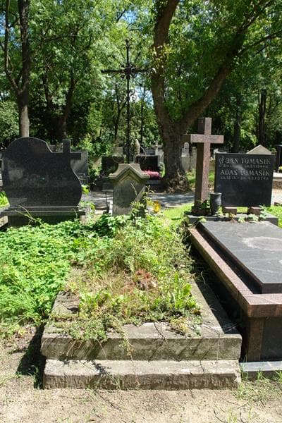 Zdjęcie grobu Włodzimierz Wojciech Horn (1)