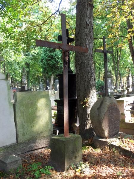 Zdjęcie grobu Drozdowscy (2)