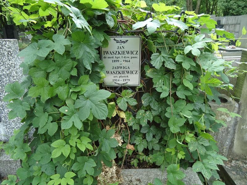 Zdjęcie grobu Jan Iwaszkiewicz (2)
