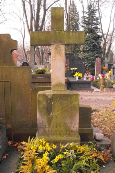 Zdjęcie grobu Józefa Słodkowska (2)