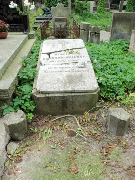 Zdjęcie grobu: Wincenty Colonna - Walewski
