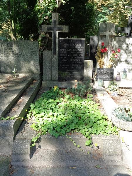 Zdjęcie grobu: Janina Machalska