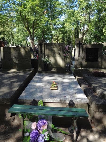 Zdjęcie grobu Franciszek Szczęsny (1)