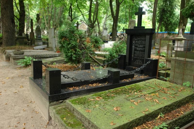Zdjęcie grobu Hugon Fried (1)