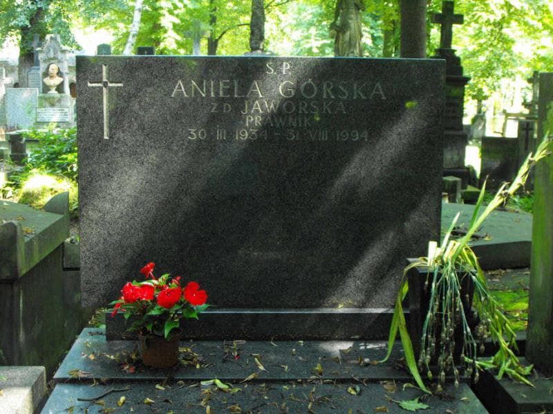 Zdjęcie grobu Aniela Górska (2)