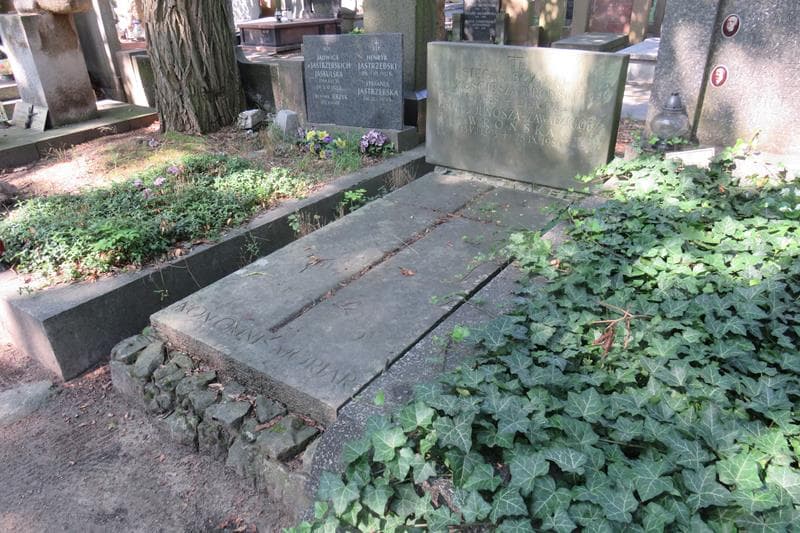 Zdjęcie grobu: Anna Wrońska