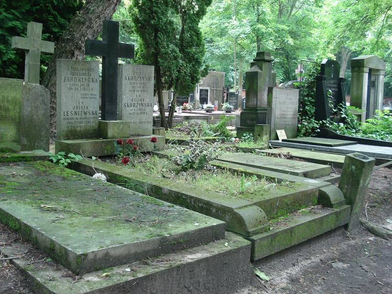 Zdjęcie grobu Józefa Leśniewska (1)