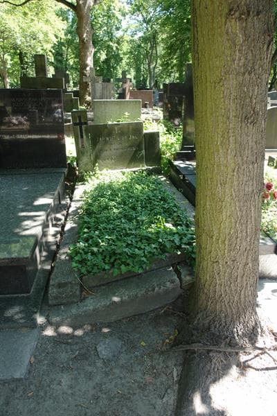 Zdjęcie grobu Jadwiga Hejne (1)