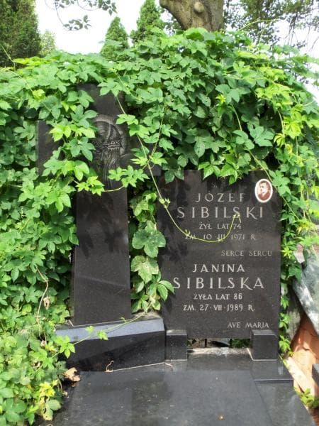 Zdjęcie grobu Józef Sibilski (2)