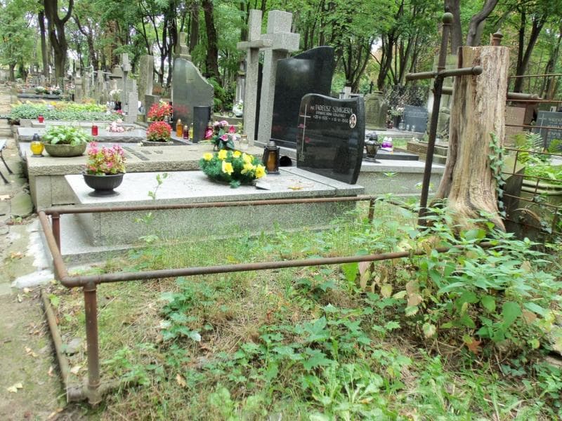 Zdjęcie grobu Anonim (1)