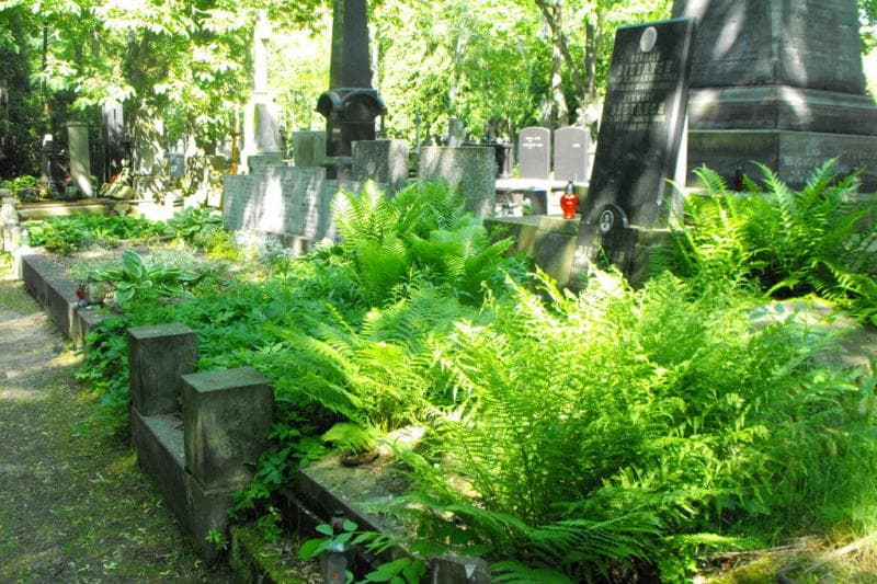 Zdjęcie grobu: Zygmunt Dietrych
