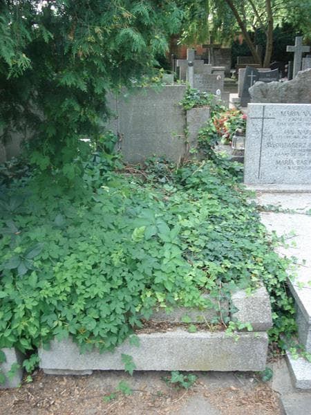 Zdjęcie grobu: Halina Lenkiewicz