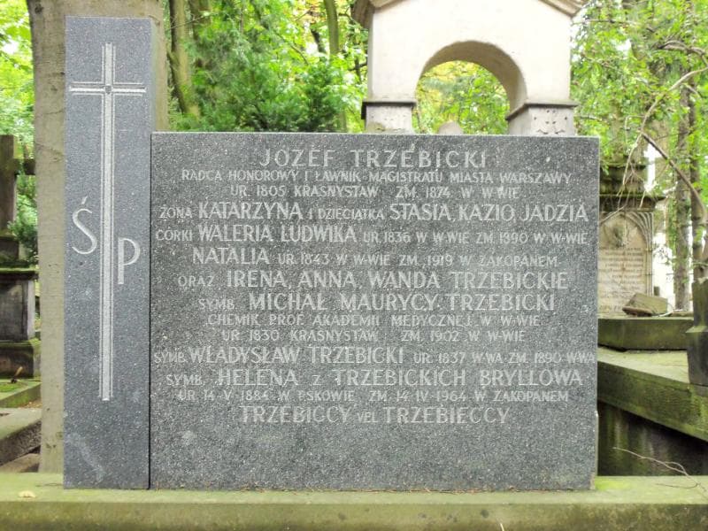 Zdjęcie grobu Helena Bryllowa (2)