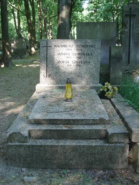 Zdjęcie grobu: Zofia Szczęsna
