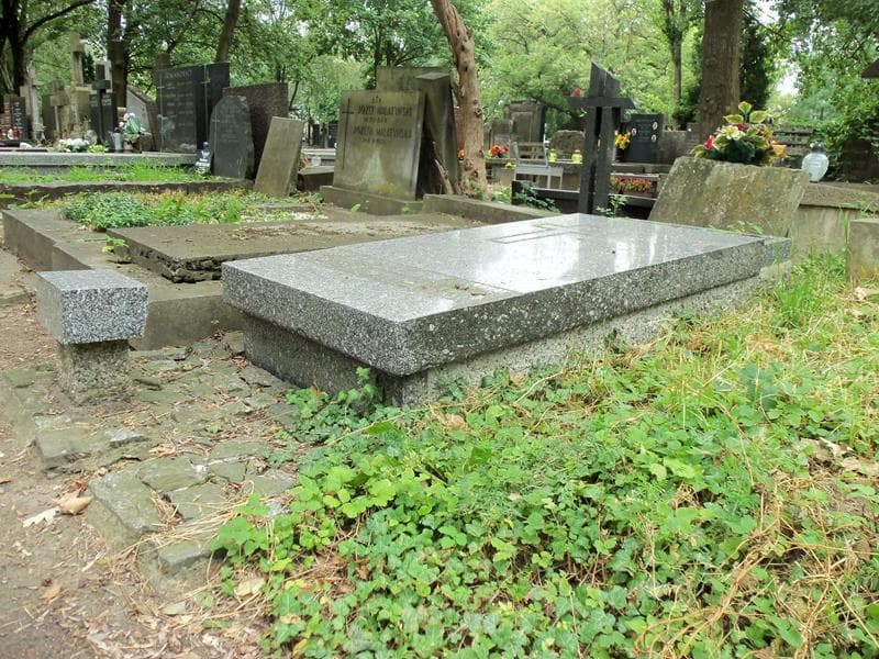Zdjęcie grobu Bronisław Olszewski (2)