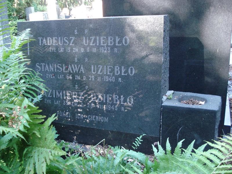 Zdjęcie grobu Tadeusz Uziębło (2)