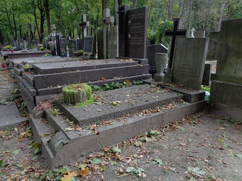 Zdjęcie grobu: Wacława Bartosiak
