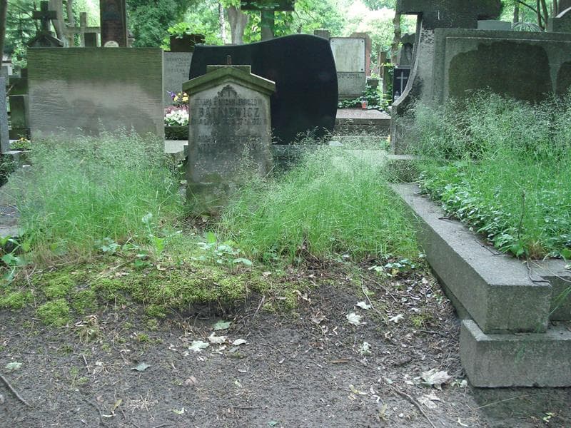 Zdjęcie grobu: Teresa Bątkiewicz