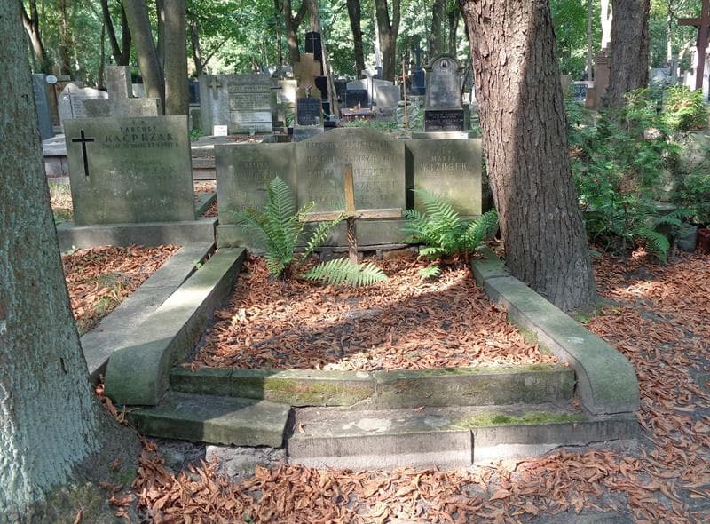 Zdjęcie grobu Barbara Janiszewska (1)