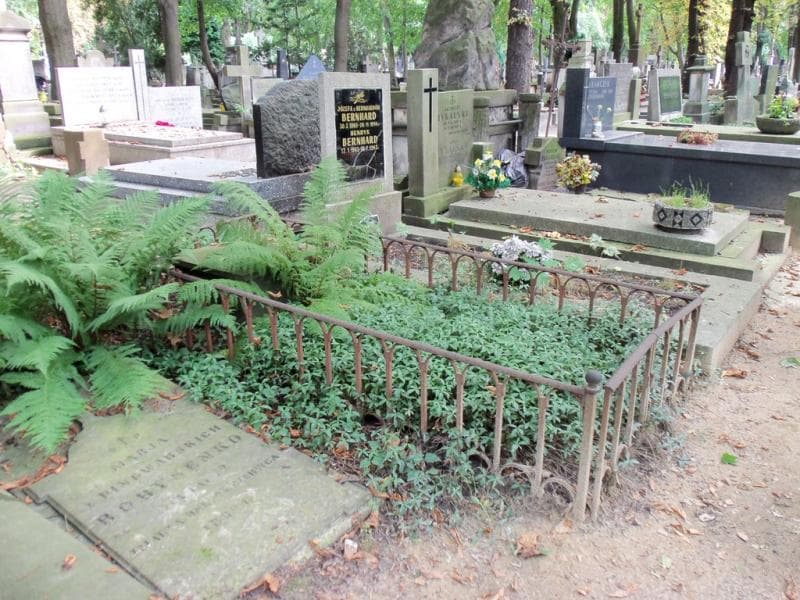Zdjęcie grobu G.s. Pitius (1)