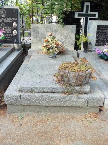 Zdjęcie grobu: Henryk Szlaski