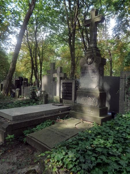 Zdjęcie grobu: Władysław Żółtański