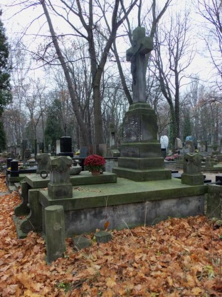 Zdjęcie grobu Antoni Krzowski (1)