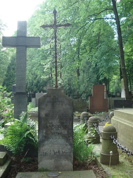 Zdjęcie grobu Maria Krzewska (2)