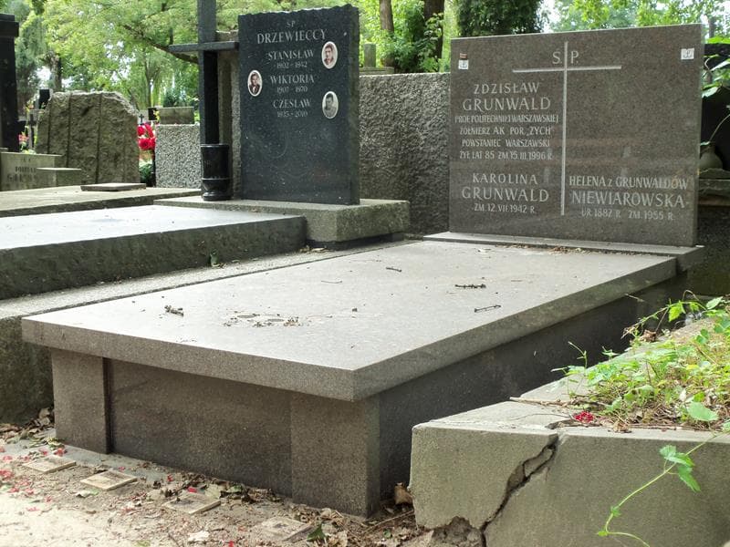 Zdjęcie grobu Helena Niewiarowska (1)
